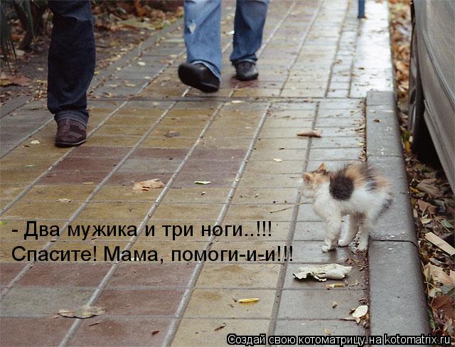 - Два мужика и три ноги..!!! Спасите! Мама, помоги-и-и!!!... Котоматрица: - Два мужика и три ноги..!!! Спасите! Мама, помоги-и-и!!!