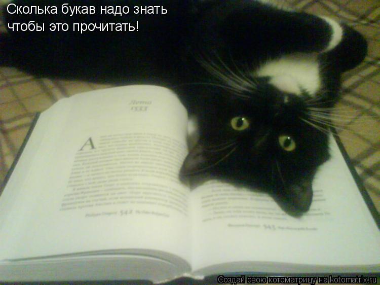 Котоматрица: Сколька букав надо знать чтобы это прочитать!