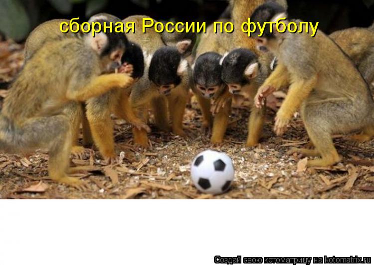 Котоматрица: сборная России по футболу