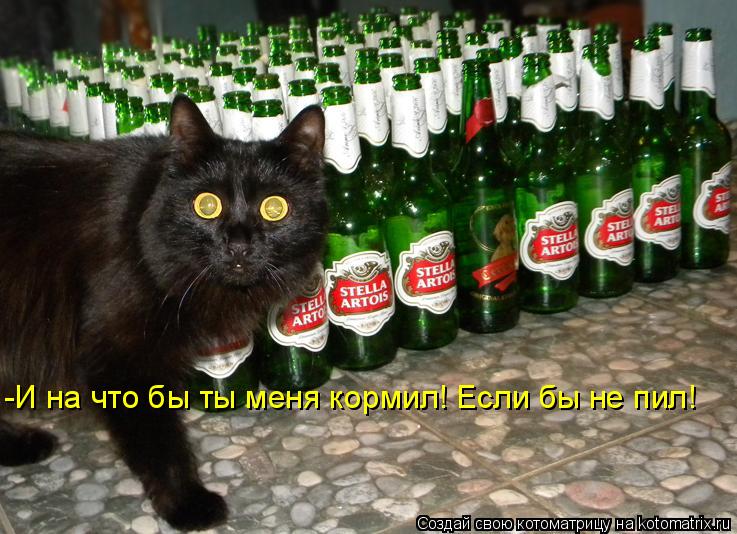Котоматрица: -И на что бы ты меня кормил! Если бы не пил!