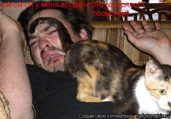 Котоматрица: ой-ой-ой у меня вроде чтото застряло!!! посмотри)
