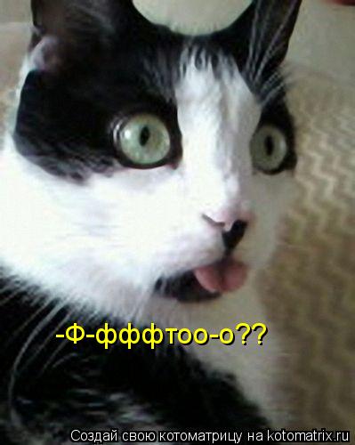 -Ф-фффтоо-о??... Котоматрица: -Ф-фффтоо-о??