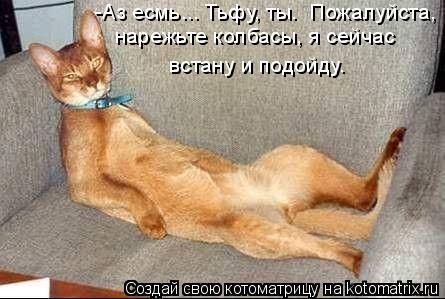 Котоматрица: -Аз есмь... Тьфу, ты.  Пожалуйста,  нарежьте колбасы, я сейчас  встану и подойду.