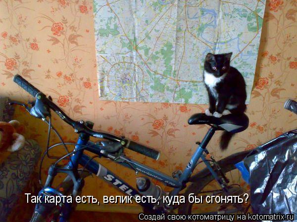 Так карта есть, велик есть, куда бы сгонять?... Котоматрица: Так карта есть, велик есть, куда бы сгонять?