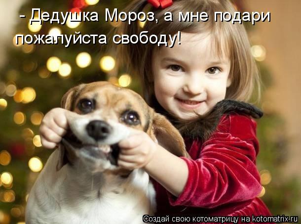 - Дедушка Мороз, а мне подари пожалуйста свободу!... Котоматрица: - Дедушка Мороз, а мне подари пожалуйста свободу!