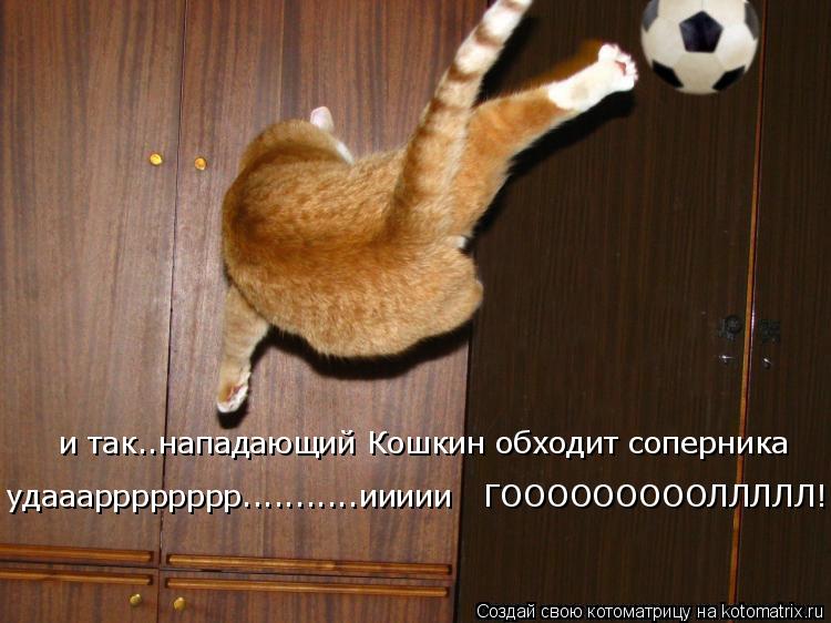 и так..нападающий Кошкин обходит соперника удааарррррррр...........иииии ГОООООООООЛЛЛЛЛ!!... Котоматрица: и так..нападающий Кошкин обходит соперника удааарррррррр...........иииии ГОООООООООЛЛЛЛЛ!!