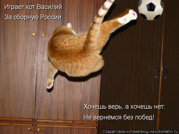 Котоматрица: Играет кот Василий За сборную России. Хочешь верь, а хочешь нет: Не вернёмся без побед!