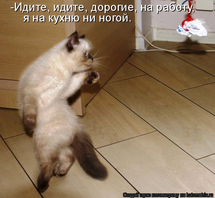 -Идите, идите, дорогие, на работу, я на кухню ни ногой.... Котоматрица: -Идите, идите, дорогие, на работу, я на кухню ни ногой.