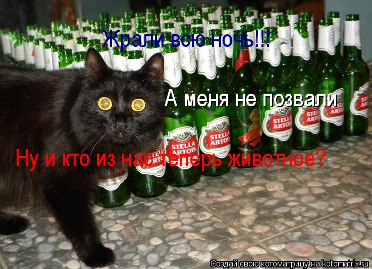 Котоматрица: Жрали всю ночь!!! А меня не позвали Ну и кто из нас теперь животное?