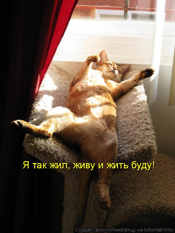 Котоматрица: Я так жил, живу и жить буду!