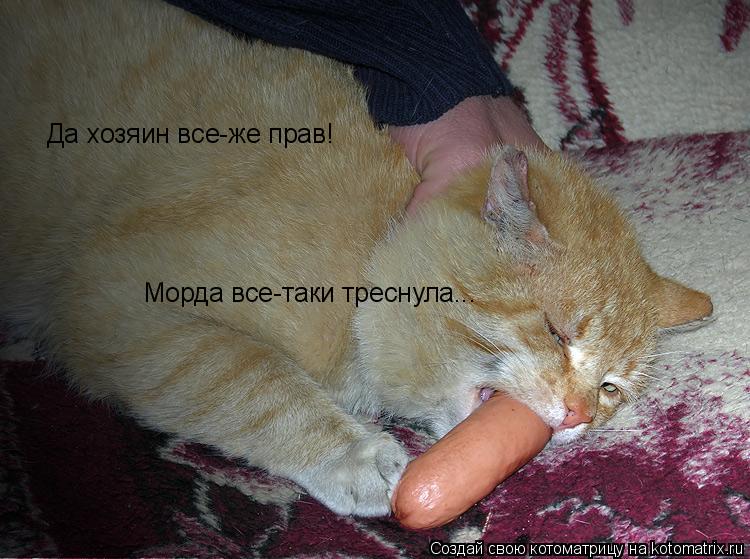 Да хозяин все-же прав! Морда все-таки треснула...... Котоматрица: Да хозяин все-же прав! Морда все-таки треснула...
