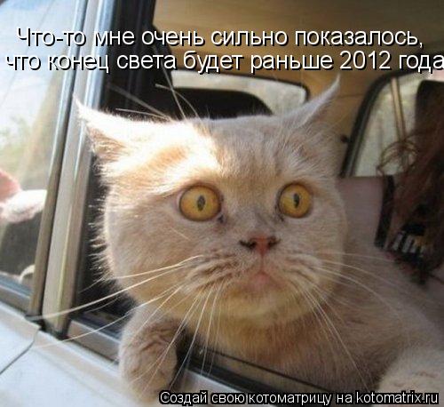 Что-то мне очень сильно показалось, что конец света будет раньше 2012 года!... Котоматрица: Что-то мне очень сильно показалось, что конец света будет раньше 2012 года!