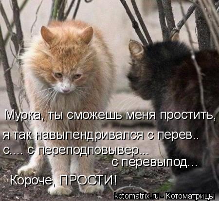 Мурка, ты сможешь меня простить, я так навыпендривался с перев.. с.... с переподповывер... с перевып... Котоматрица: Мурка, ты сможешь меня простить, я так навыпендривался с перев.. с.... с переподповывер... с перевыпод... Короче, ПРОСТИ!