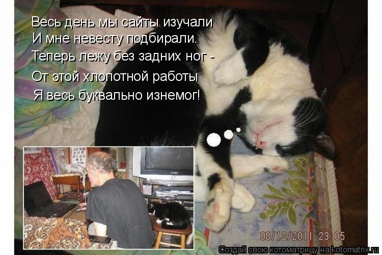Весь день мы сайты изучали И мне невесту подбирали. Теперь лежу без задних ног - Я весь буквально изн... Котоматрица: Весь день мы сайты изучали И мне невесту подбирали. Теперь лежу без задних ног - Я весь буквально изнемог! От этой хлопотной работы