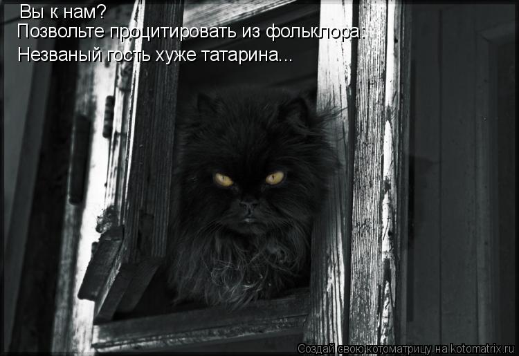 Вы к нам? Позвольте процитировать из фольклора: Незваный гость хуже татарина...... Котоматрица: Вы к нам? Позвольте процитировать из фольклора: Незваный гость хуже татарина...