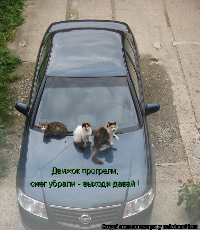Движок прогрели, снег убрали - выходи давай !... Котоматрица: Движок прогрели, снег убрали - выходи давай !