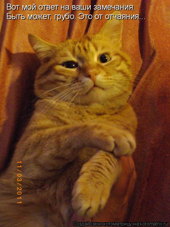 Вот мой ответ на ваши замечания. Быть может, грубо. Это от отчаяния...... Котоматрица: Вот мой ответ на ваши замечания. Быть может, грубо. Это от отчаяния...