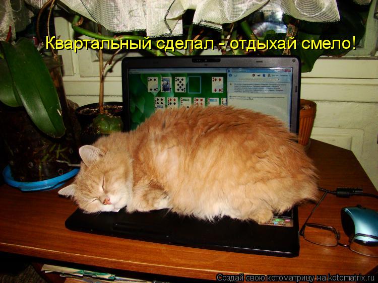 Квартальный сделал - отдыхай смело!... Котоматрица: Квартальный сделал - отдыхай смело!