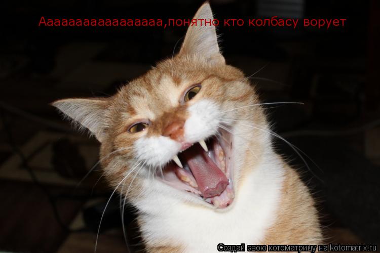 Ааааааааааааааааа,понятно кто колбасу ворует... Котоматрица: Ааааааааааааааааа,понятно кто колбасу ворует