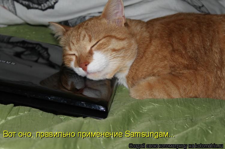 Вот оно, правильно применение Samsungам...... Котоматрица: Вот оно, правильно применение Samsungам...