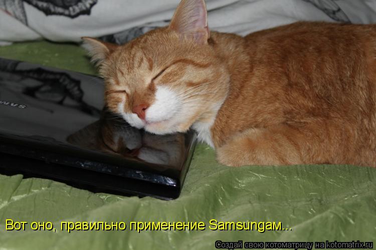 Котоматрица: Вот оно, правильно применение Samsungам...