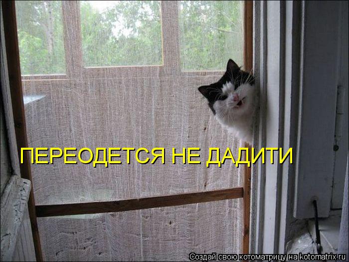 ПЕРЕОДЕТСЯ НЕ ДАДИТИ... Котоматрица: ПЕРЕОДЕТСЯ НЕ ДАДИТИ