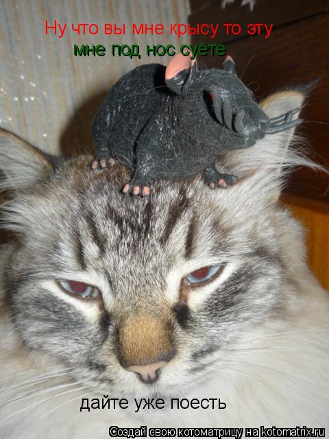 Ну что вы мне крысу то эту мне под нос суёте дайте уже поесть... Котоматрица: Ну что вы мне крысу то эту мне под нос суёте дайте уже поесть