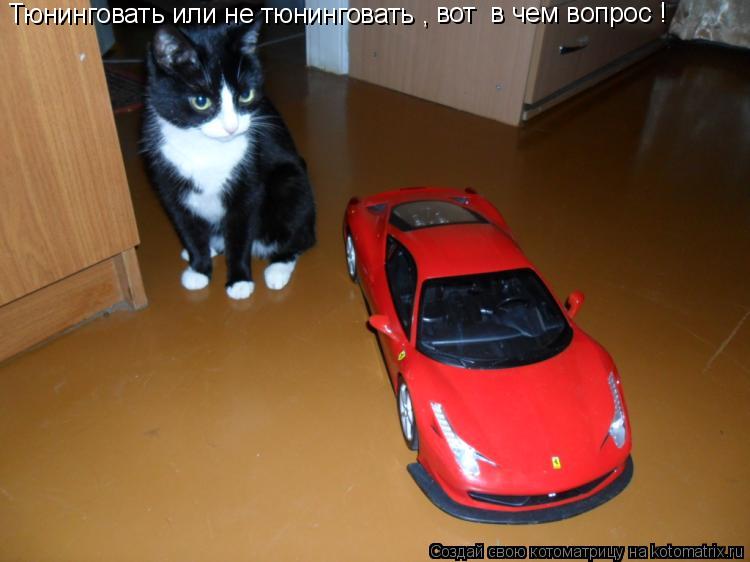 Тюнинговать или не тюнинговать , вот в чем вопрос !... Котоматрица: Тюнинговать или не тюнинговать , вот в чем вопрос !