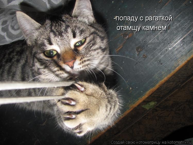 Котоматрица: -попаду с рагаткой отамщу камнем