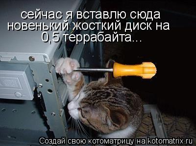 Котоматрица: сейчас я вставлю сюда новенький жосткий диск на  0,5 террабайта...