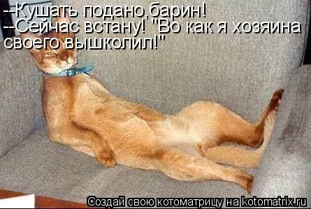 --Кушать подано,барин! --Сейчас встану! "Во как я хозяина своего вышколил!"... Котоматрица: --Кушать подано,барин! --Сейчас встану! "Во как я хозяина своего вышколил!"