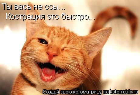 Ты вась не ссы... Кострация это быстро...... Котоматрица: Ты вась не ссы... Кострация это быстро...