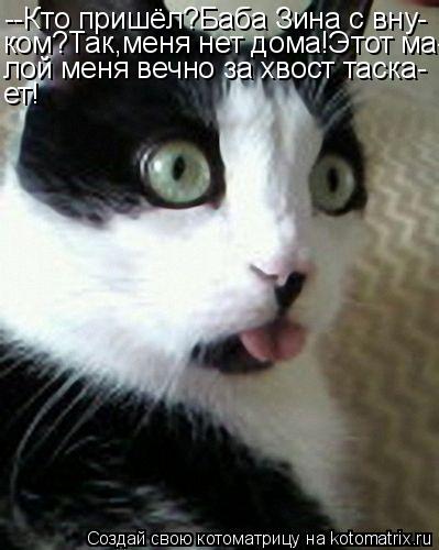 --Кто пришёл?Баба Зина с вну- ком?Так,меня нет дома!Этот ма- лой меня вечно за хвост таска- ет!... Котоматрица: --Кто пришёл?Баба Зина с вну- ком?Так,меня нет дома!Этот ма- лой меня вечно за хвост таска- ет!