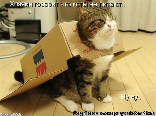 Хозяин говорит что коты не литают... Ну ну...... Котоматрица: Хозяин говорит что коты не литают... Ну ну...