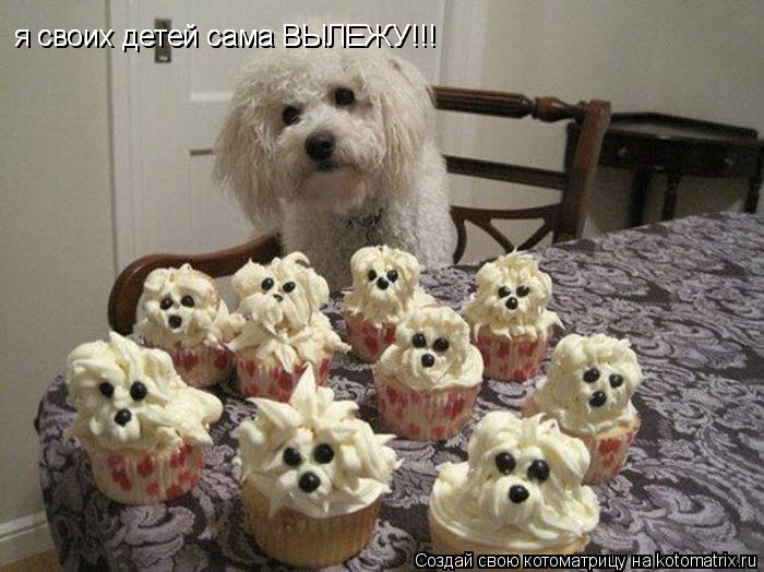 я своих детей сама ВЫЛЕЖУ!!! я своих детей сама ВЫЛЕЖУ!!!... Котоматрица: я своих детей сама ВЫЛЕЖУ!!! я своих детей сама ВЫЛЕЖУ!!!