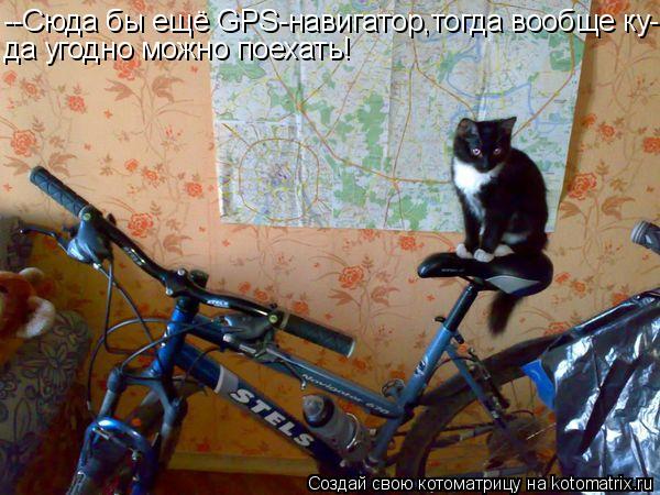 --Сюда бы ещё GPS-навигатор,тогда вообще ку- да угодно можно поехать!... Котоматрица: --Сюда бы ещё GPS-навигатор,тогда вообще ку- да угодно можно поехать!