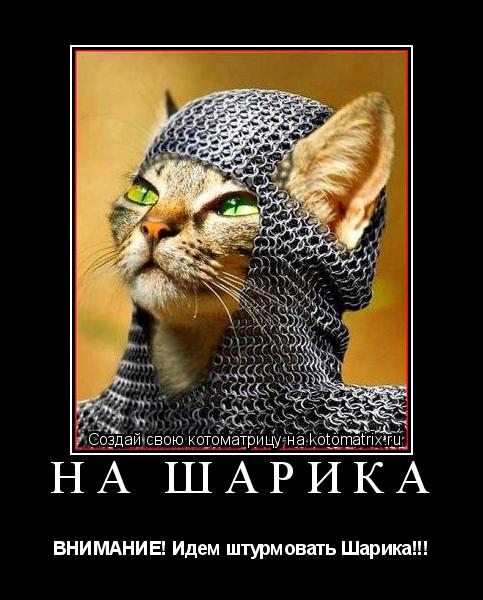 на шарика ВНИМАНИЕ! Идем штурмовать Шарика!!!... Котоматрица: на шарика ВНИМАНИЕ! Идем штурмовать Шарика!!!