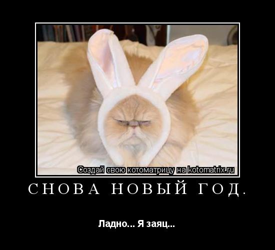 Снова новый год. Ладно... Я заяц...... Котоматрица: Снова новый год. Ладно... Я заяц...