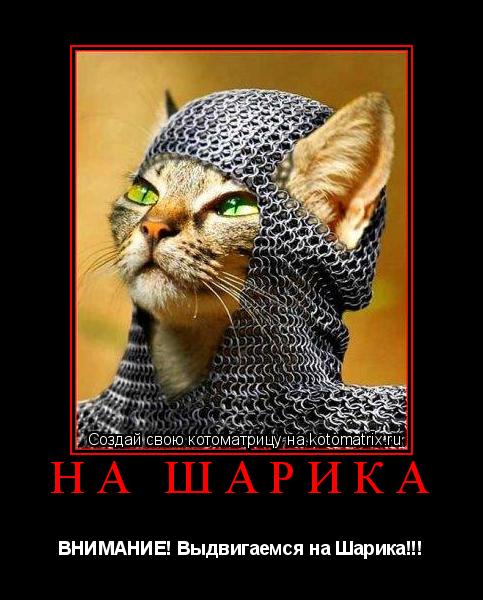 на шарика ВНИМАНИЕ! Выдвигаемся на Шарика!!!... Котоматрица: на шарика ВНИМАНИЕ! Выдвигаемся на Шарика!!!