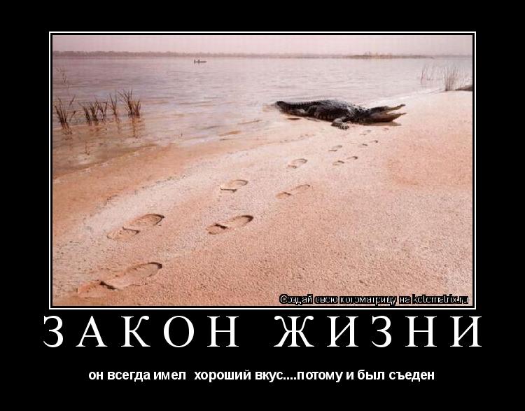 Котоматрица: закон жизни он всегда имел  хороший вкус....потому и был съеден