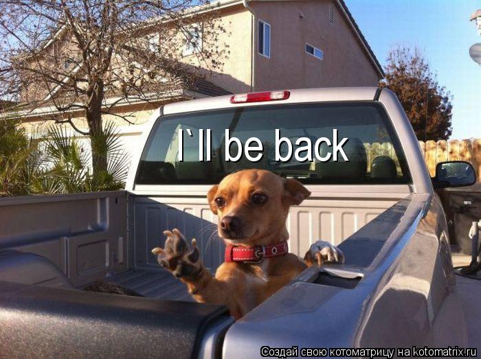 I`ll be back... Котоматрица: I`ll be back