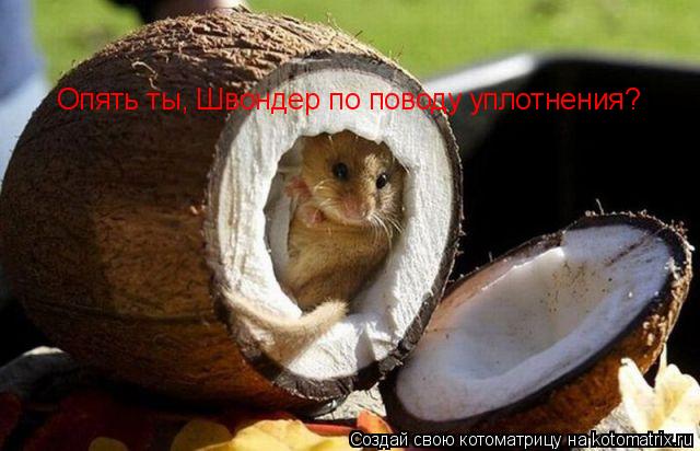 Опять ты, Швондер по поводу уплотнения?... Котоматрица: Опять ты, Швондер по поводу уплотнения?