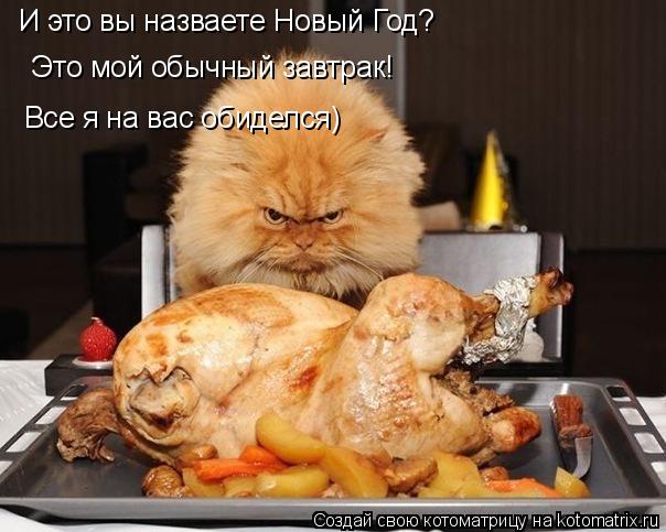И это вы назваете Новый Год? Это мой обычный завтрак! Все я на вас обиделся)... Котоматрица: И это вы назваете Новый Год? Это мой обычный завтрак! Все я на вас обиделся)