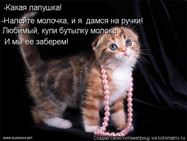 -Какая лапушка! -Налейте молочка, и я дамся на ручки! Любимый, купи бутылку молока , И мы ее забере... Котоматрица: -Какая лапушка! -Налейте молочка, и я дамся на ручки! Любимый, купи бутылку молока , И мы ее заберем!