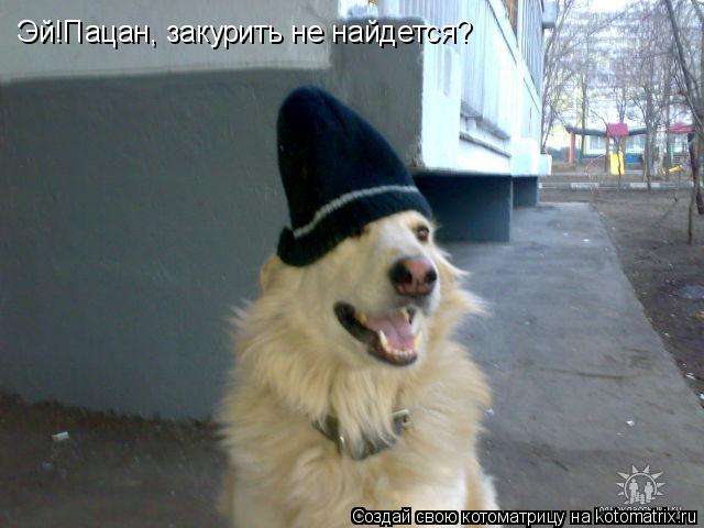 Эй!Пацан, закурить не найдется?... Котоматрица: Эй!Пацан, закурить не найдется?