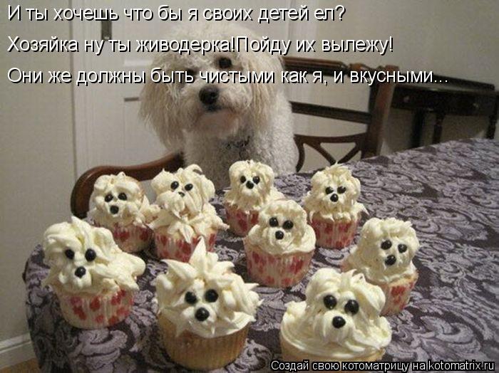 И ты хочешь что бы я своих детей ел? Хозяйка ну ты живодерка!Пойду их вылежу! Они же должны быть чист... Котоматрица: И ты хочешь что бы я своих детей ел? Хозяйка ну ты живодерка!Пойду их вылежу! Они же должны быть чистыми как я, и вкусными...
