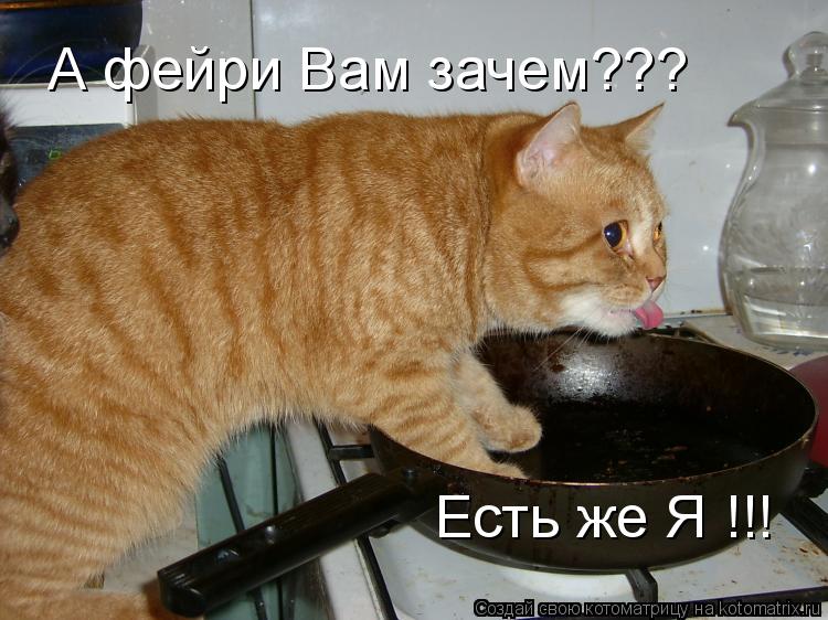 Котоматрица: А фейри Вам зачем??? Есть же Я !!!