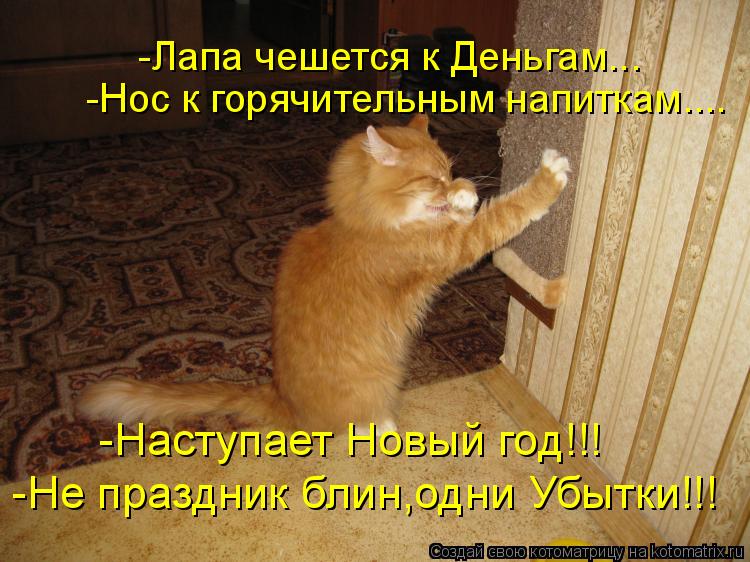 Можно ли красить брови краской для волос или хной Макияж под синее платье - фото - Как стать красивой