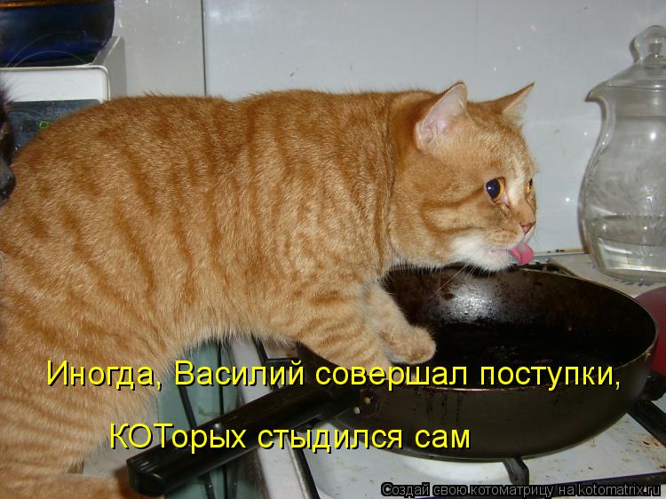 Котоматрица: Иногда, Василий совершал поступки, КОТорых стыдился сам