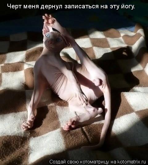 Котоматрица: Черт меня дернул записаться на эту йогу.